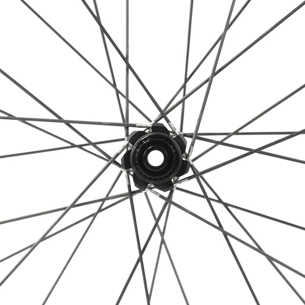 Carbon spoke IDEA EVO CARBON SP