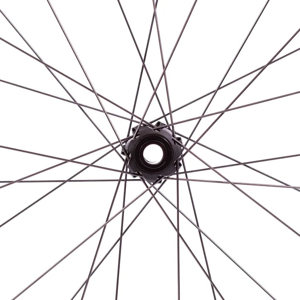 Steel spoke DT SWISS COMPETITION RACE SP